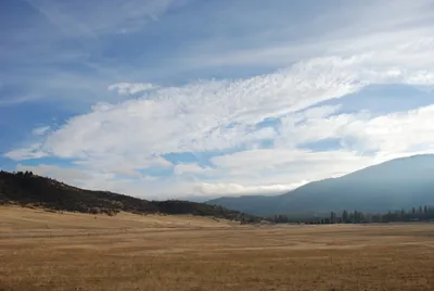 DSC_0057 (Large).JPG